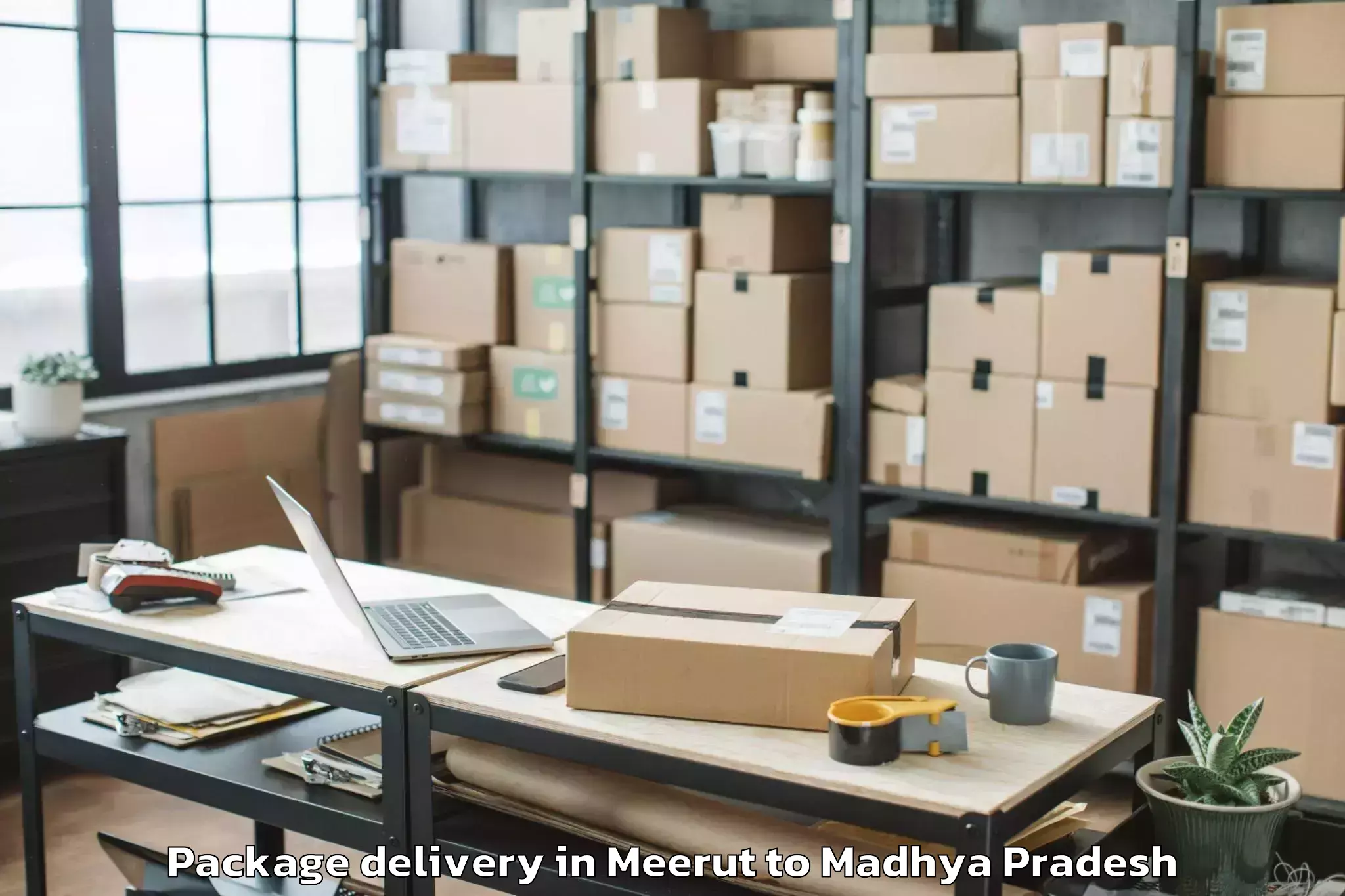 Professional Meerut to Badod Package Delivery